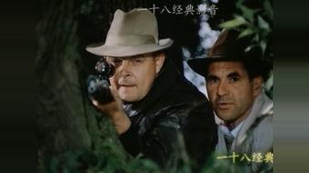 谍战片电视剧大全,揭秘电视剧中的神秘世界